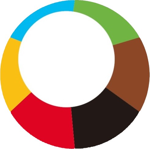 ローカルエナジーシステム株式会社